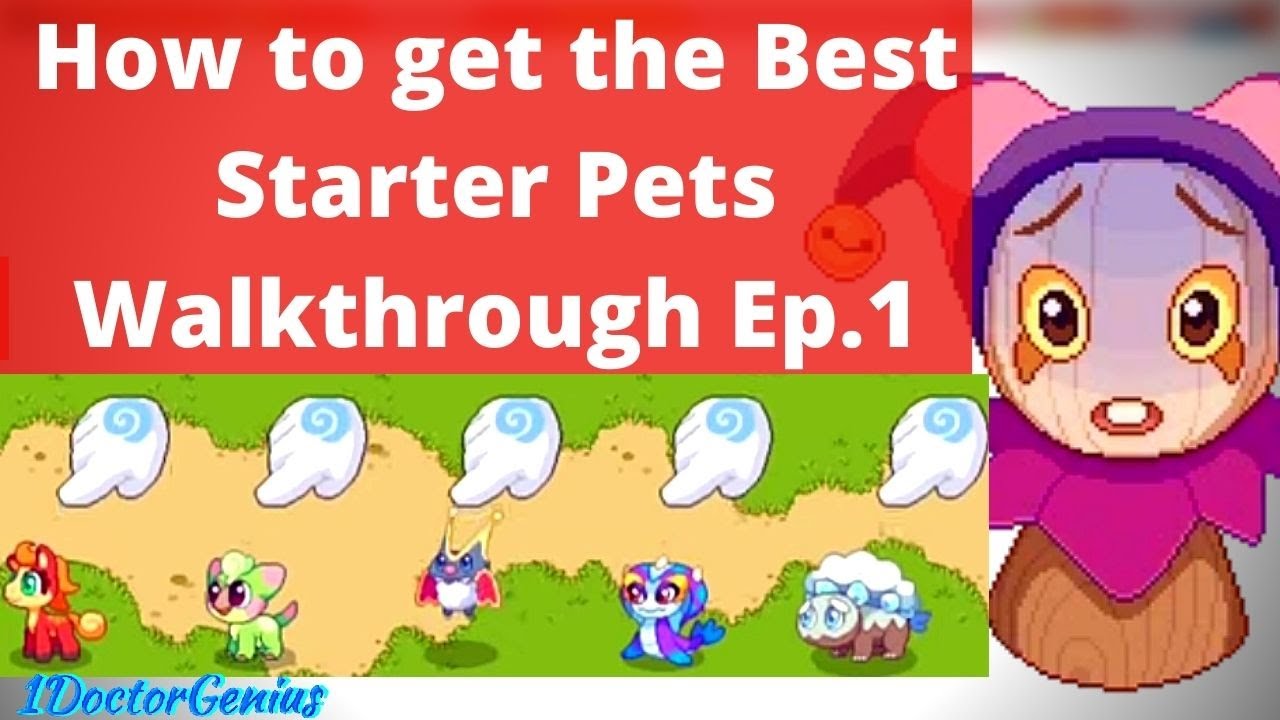 How to get STARTER PETS & WALKTHROUGH for New USERS Prodigy Account