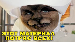 Кошачья Раса! Этат Материал Потряс Всех!