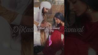 O Kadi Aa Mil Sanwal Yaar Vay