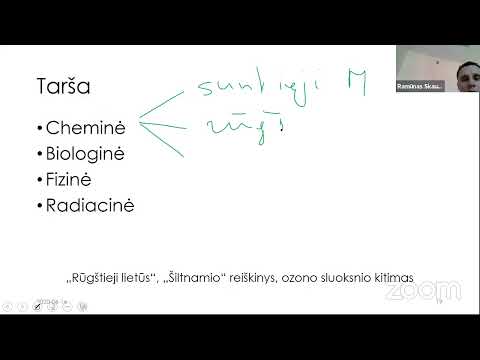 Video: 10 Netikėtų Faktų Apie Saulės įtaką žmogaus Gyvenimui - Alternatyvus Vaizdas