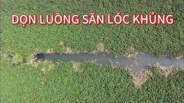 Hành trình câu cá lóc tự nhiên 3 ký p7 Journey to catch 3kg natural snakehead fish p7