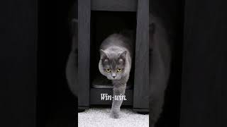 Celebrity Finally… a Cat Litter Box That Doesn’t Look Like a Litter Box 😻✨  #garvee #home #cat Net Worth