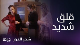 مسلسل شجر الحور| الحلقة 45| فتح قضية جيانوس يثير قلق إيليني وإخوتها