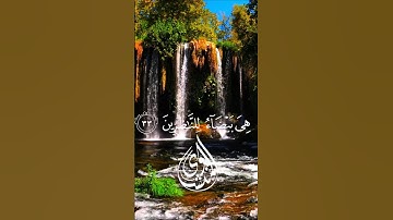 تلاوة مؤثرة للمنشاوي I فالقى عصاه فإذا هي ثعبان مبين I
