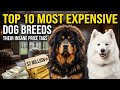 Why This Dog Costs $2 Million! 😱 (Top 10 Expensive Breeds)