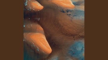 Groovy Bohemia Vibes