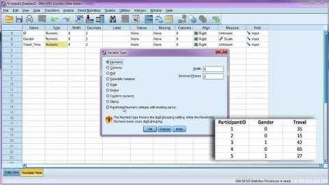 Enter data and define variables in SPSS