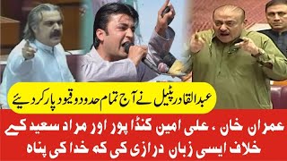 PPP Abdul Qadir Patel VS Imran Khan ,Murad Saeed & Ali Amin Gandapur | Hard Hitting Speech