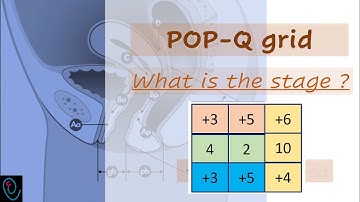 POP-Q grid explained