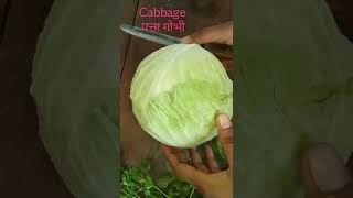 Cabbage recipe in 5 Min | Patta Gobhi Ya Band Gobi Ki Sabzi | Cabbage Sabzi Without Garlic | #Shorts