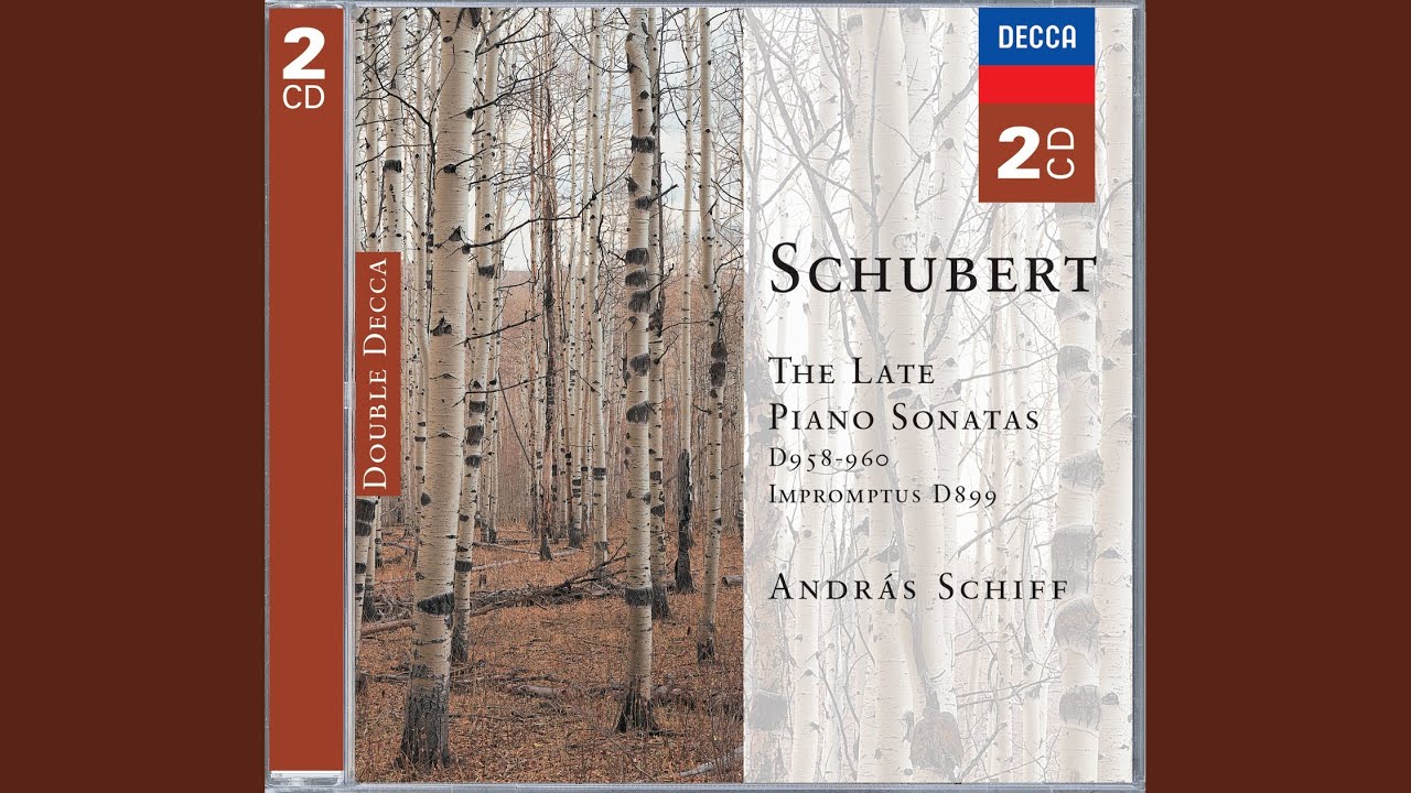 Schubert: Piano Sonata No. 19 in C minor, D.958: 4. Allegro - YouTube