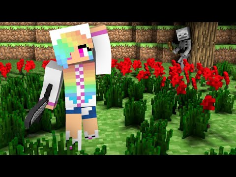 BFF-UL MEU SE JOACA MINECRAFT CU RESORCE PACKS