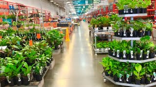 Indoor Plant Haul at Bunnings Warehouse