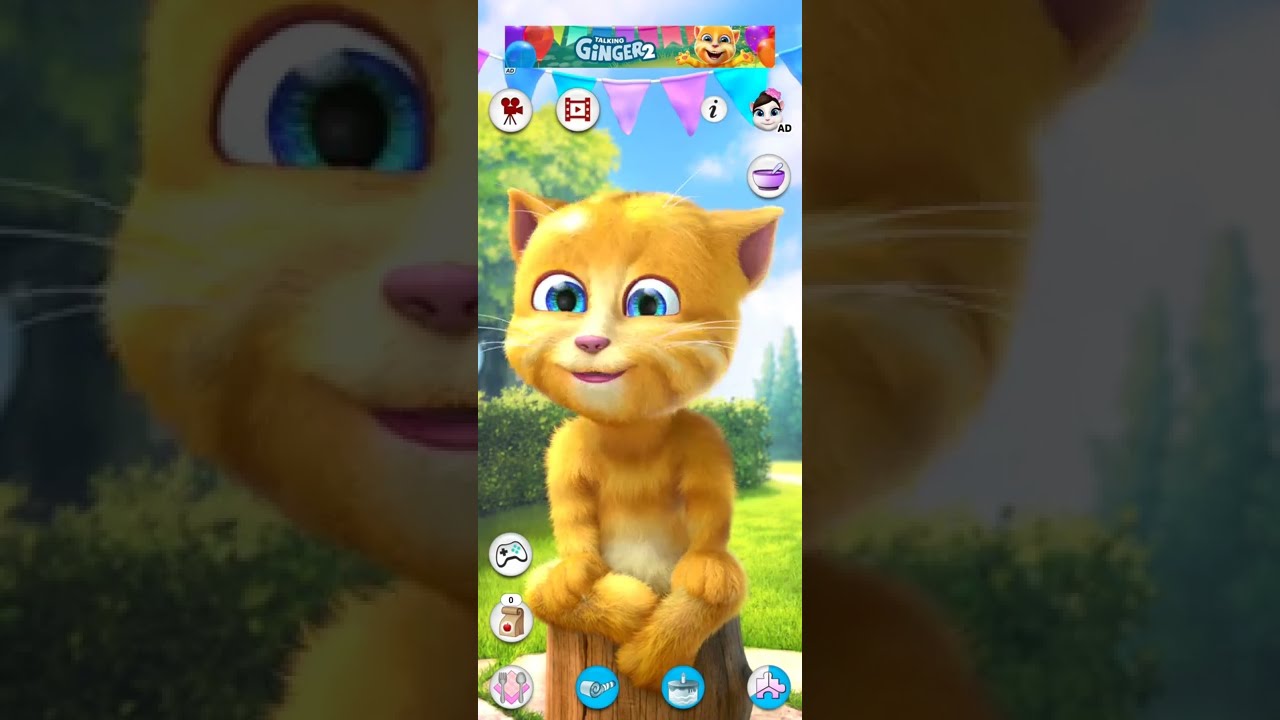 Talking Ginger 5 Shorts