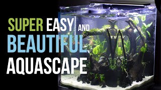Dennerle NanoCube 60L Aquascape - new tank setup