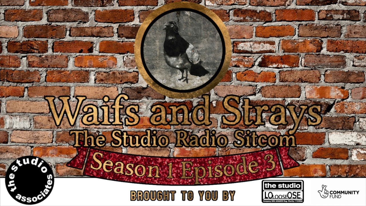 Waifs and Strays Season 1 Episode 3: The Wrestler