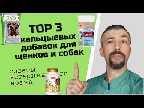 топ 3 добавок с кальцием для щенков и собак