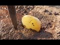 natural diamond mining area. digging of gem yellow agate gemstone mining under Rock