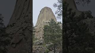 Devils Tower National Monument #shorts #geology