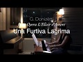 G. Donizetti 'Una Furtiva Lagrima' 도니제티 남 몰래 흘리는 눈물 (이선행 연주)