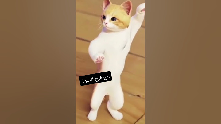 #طلب خاص والأكثر #فرح فرح الحلوة #funny #viral #wow #ترند #جوجو #يوتيوب #shorts