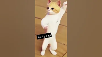 طلب خاص والأكثر فرح فرح الحلوة Funny Viral Wow ترند جوجو يوتيوب Shorts 