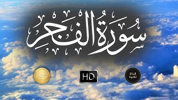 سورة الفجر - صوت هادئ - سالم الرويلي