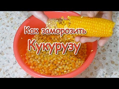 Как заморозить кукурузу на зиму в зернах