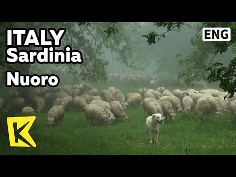 【K】Italy Travel-Sardinia[이탈리아 여행-사르데냐]양들의 낙원, 누오로Nuoro/Island/Sheep/Corydon/Sardegna
