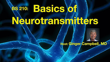 BS 210 Introduction to Neurotransmitters