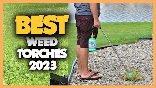 Top 10 Best Weed Torches 2023