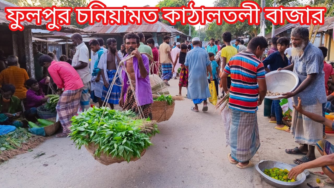 চরের গ্রামীণ হাট চনিয়ামত কাঠালতলী বাজার Bangladesh village market