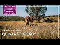 European Rewilding Network | Rewilding Intro | Quinta do Pisão