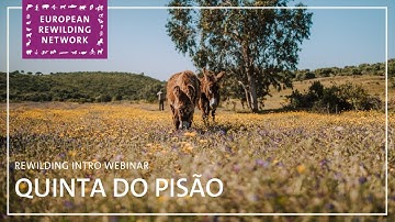 European Rewilding Network | Rewilding Intro | Quinta do Pisão