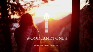 The Paper Kites - Bloom