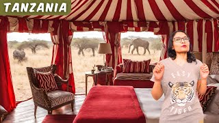 Luxury CAMPING in Serengeti Jungle: Serengeti Under Canvas
