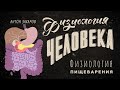 Зачем мы едим? Физиология пищеварения. Физиология человека — урок 19