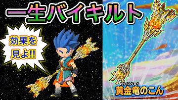 星ドラ プリンセスシールド 星ドラ プリンセスシールド
