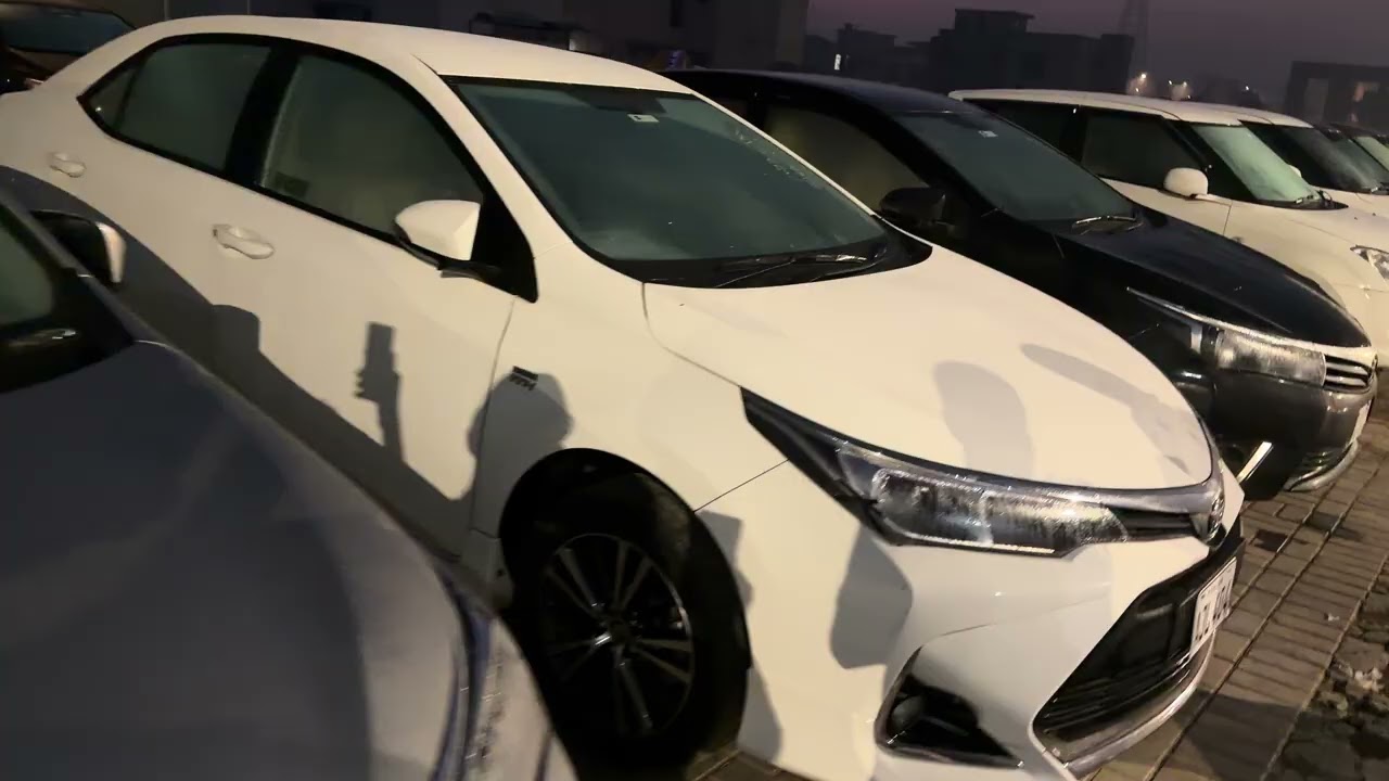 Stock available Aljalil garden 