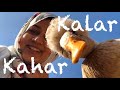 A Trip to Kalar Kahar - Salt Range Mountain Valley