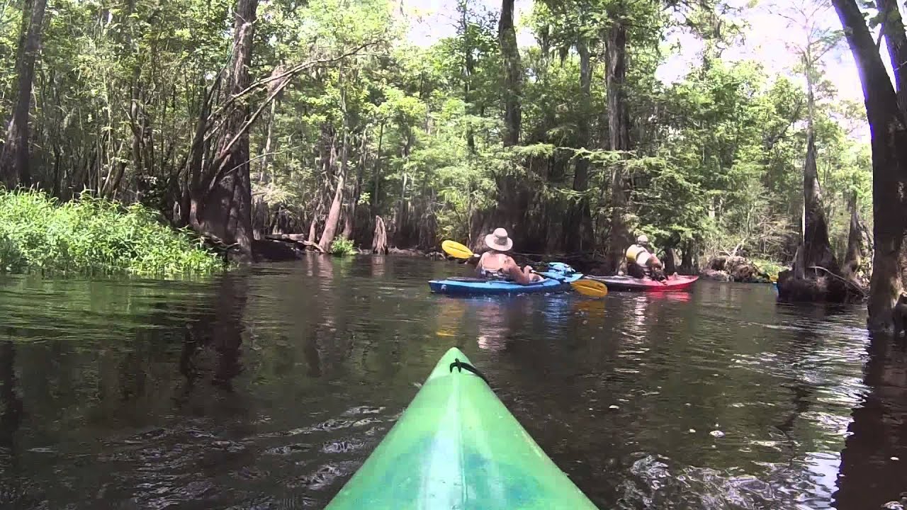 Little Pee Dee River Paddle - YouTube