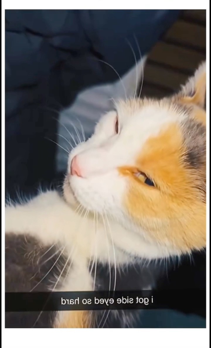 u0026rs=AOn4CLD9lpsRmRGR_3BD2fThhpZ-ZgGhuw