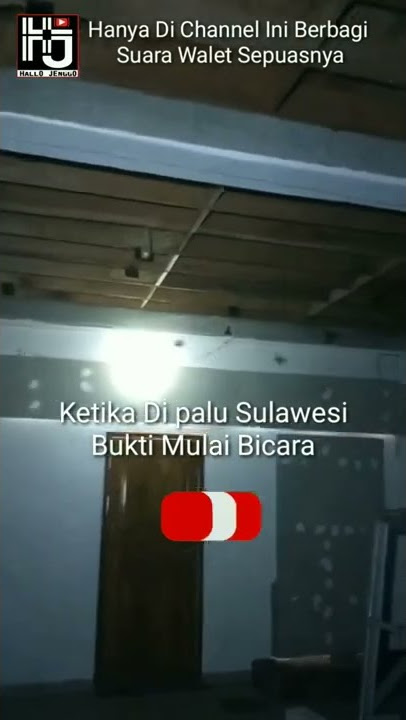 Suara Inap Walet Terbukti dari SWT