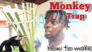 How To Make Monkey Trap In Guyana Easy (Beze Hunting)