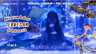 Jakarta Aquarium 2024 | Akuarium Indoor TERBESAR di Indonesia Lengkap Full Atraksi