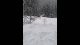 IMG 1379 2015 03 02 004230