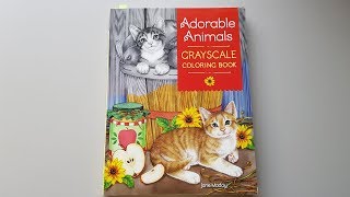 Adorable animals grayscale flipthrough