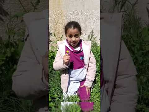 بحبك يا ماما