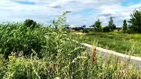 HONDA CR-X DEL SOL KAZAN