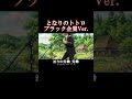 となりのトトロブラックVer